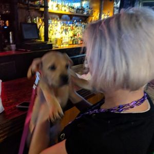 Meet your Posher, Robyn